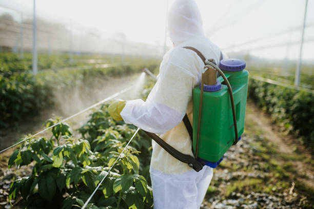 Emergency Pest Control in West Hamburg, PA